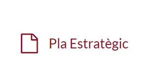 Pla Estrategic PDF